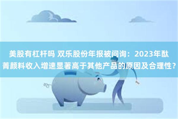 美股有杠杆吗 双乐股份年报被问询：2023年酞菁颜料收入增速显著高于其他产品的原因及合理性？