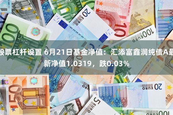 股票杠杆设置 6月21日基金净值：汇添富鑫润纯债A最新净值1.0319，跌0.03%