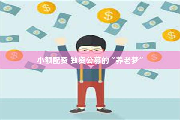 小额配资 独资公募的“养老梦”