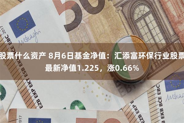 股票什么资产 8月6日基金净值：汇添富环保行业股票最新净值1.225，涨0.66%