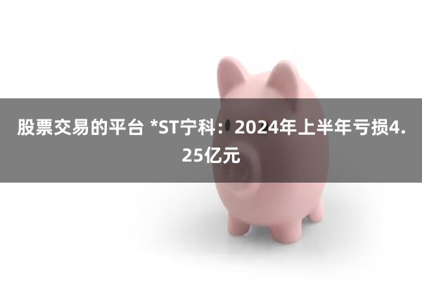 股票交易的平台 *ST宁科：2024年上半年亏损4.25亿元