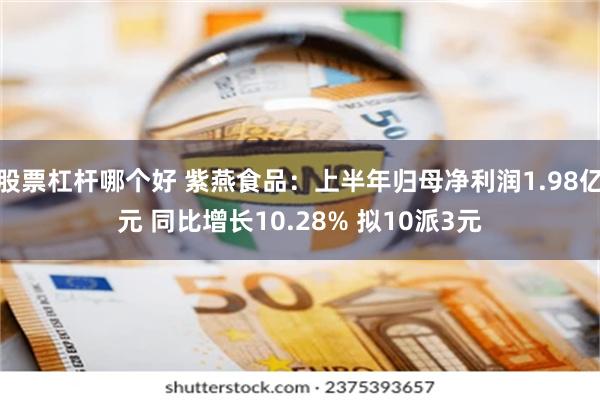 股票杠杆哪个好 紫燕食品：上半年归母净利润1.98亿元 同比增长10.28% 拟10派3元