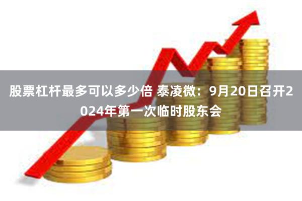 股票杠杆最多可以多少倍 泰凌微：9月20日召开2024年第一次临时股东会