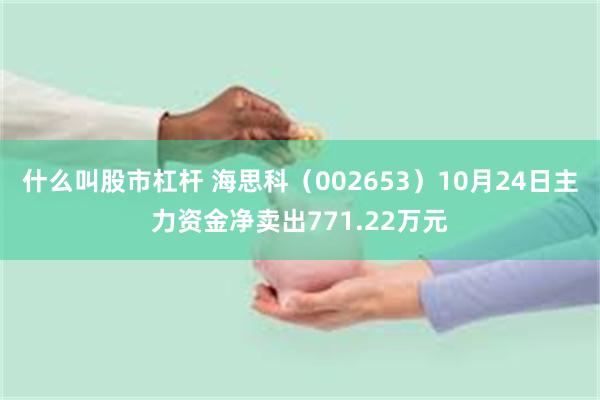 什么叫股市杠杆 海思科（002653）10月24日主力资金净卖出771.22万元