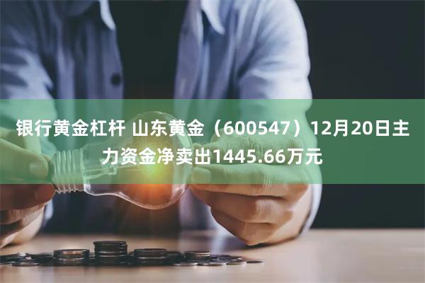 银行黄金杠杆 山东黄金（600547）12月20日主力资金净卖出1445.66万元