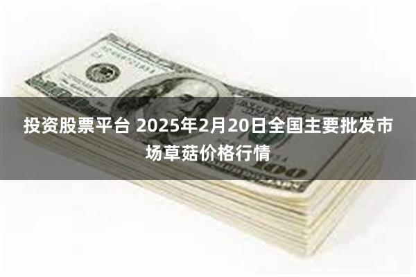 投资股票平台 2025年2月20日全国主要批发市场草菇价格行情