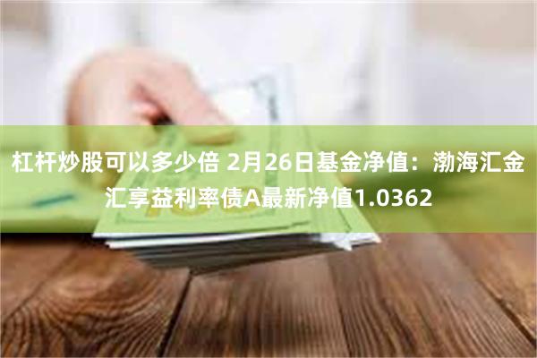 杠杆炒股可以多少倍 2月26日基金净值：渤海汇金汇享益利率债A最新净值1.0362